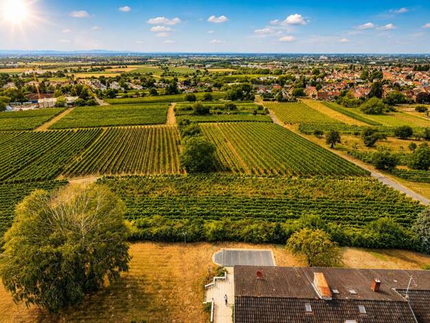 Grundstück zum Kauf 3.751 m² Grundstück Großsachsen Hirschberg an der Bergstraße 69493