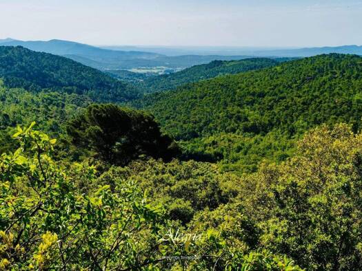 Haus zum Kauf 20.000.000 € Maljournal-Hlm Saint Hermantaire Draguignan 83300