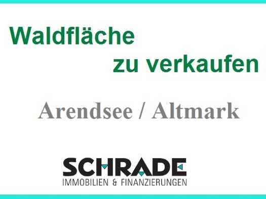 Forstwirtschaft zum Kauf 86.000 € 97.647 m² 97.647 m² Grundstück Kerkuhn Arendsee (Altmark) 39619