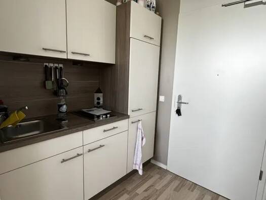 Wohnung zur Miete 545 € 1 Zimmer 27 m² Innenstadt Fürth 90762