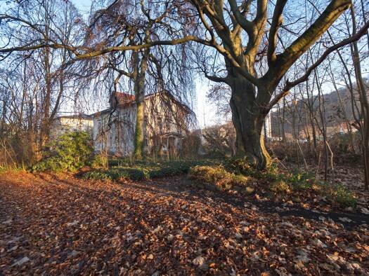 Mehrfamilienhaus zum Kauf 539.000 € 16 Zimmer 419 m² 3.425 m² Grundstück Freital Freital 01705