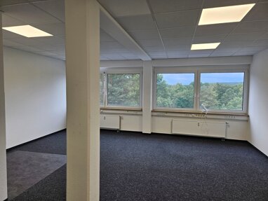 Bürofläche zur Miete provisionsfrei 9,50 € 68 m² Bürofläche Sulzbacher Straße 47 Röthenbach Röthenbach an der Pegnitz 90552