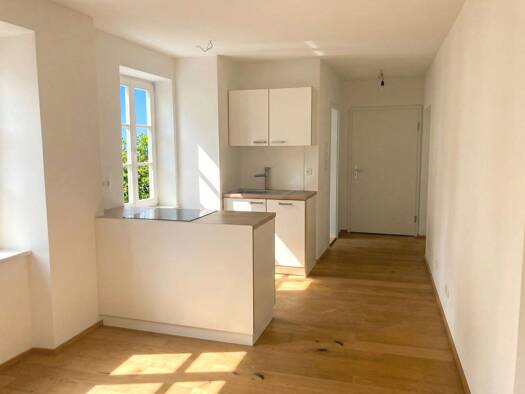 Studio zur Miete 450 € 1 Zimmer 40 m² Straubing 94315