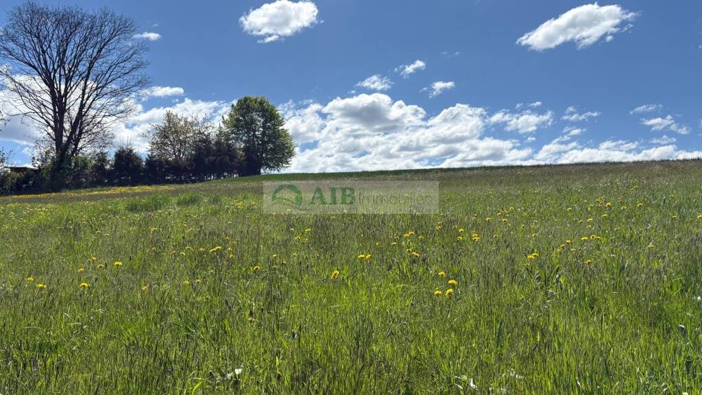 Grundstück zum Kauf 65.000 € 2.864 m² Grundstück Hilmersdorf Wolkenstein 09429