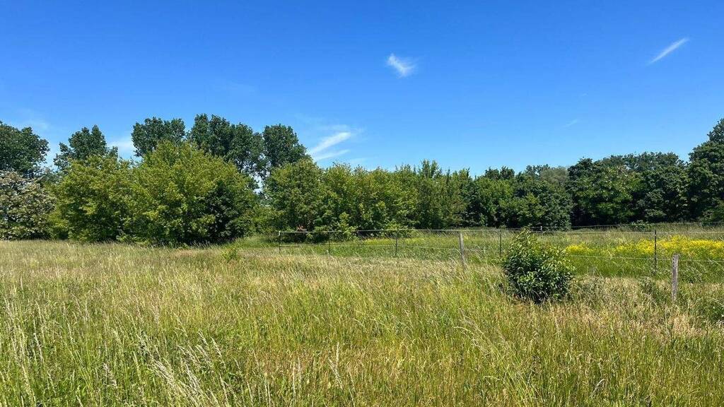 Gewerbegrundstück zum Kauf 159.000 € 9.200 m² Grundstück Badrina Hohenroda 04509