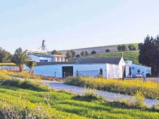 Landhaus zum Kauf 780.000 € 5 Zimmer 157 m² 520.000 m² Grundstück Bornos 11640