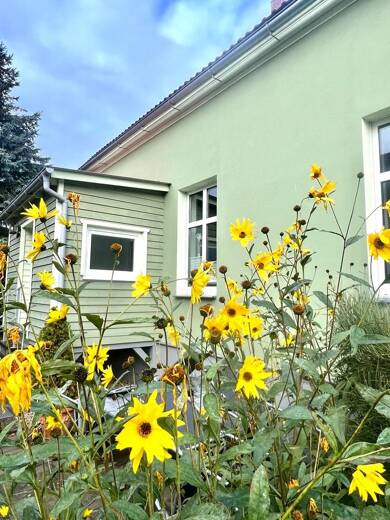 Mehrfamilienhaus zum Kauf 259.000 € 6 Zimmer 137 m² 1.000 m² Grundstück Bellin Ueckermünde 17373