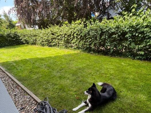 Terrassenwohnung zur Miete 1.360 € 3 Zimmer 86 m² Geschoss EG/3 frei ab 01.01.2027 Im Klingenkampe Lahe Bothfeld - Vahrenheide 30659