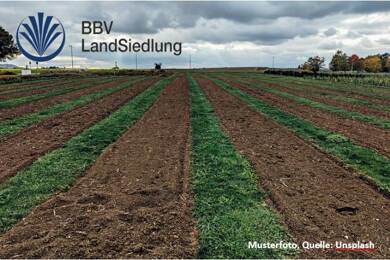 Landwirtschaftliche Fläche zum Kauf 36.340 m² Oberfahlheim Oberfahlheim Nersingen 89278