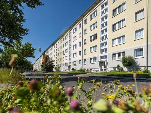 Wohnung zur Miete 365 € 3 Zimmer 58 m² frei ab sofort Roseggerstraße 23 Zittau 02763
