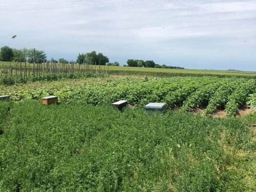 Grundstück zum Kauf 612.000 € 324.000 m² Grundstück Seitin 317315