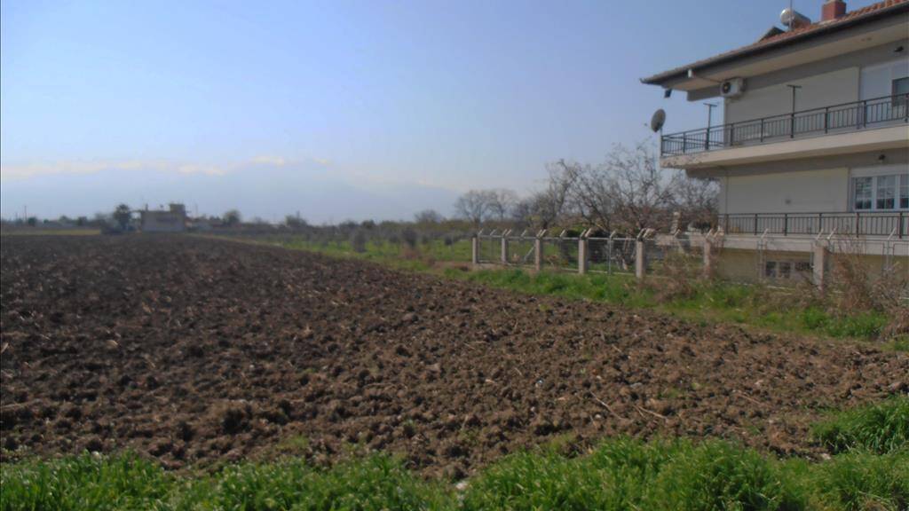 Land-/Forstwirtschaft zum Kauf 120.000 € 2.000 m² Grundstück Olympische Riviera