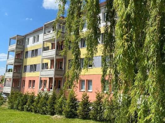 Wohnung zur Miete 270 € 2 Zimmer 46,1 m² 1. Geschoss frei ab sofort Menteröder Str. 9 Mühlhausen Mühlhausen /Thüringen 99974