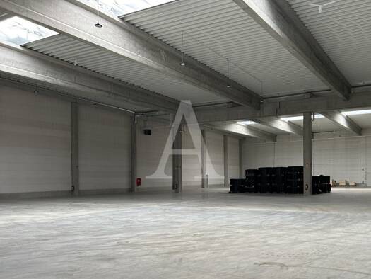 Halle/Industriefläche zur Miete provisionsfrei 1.769 m² Lagerfläche teilbar ab 1.769 m² Benrath Düsseldorf 40589