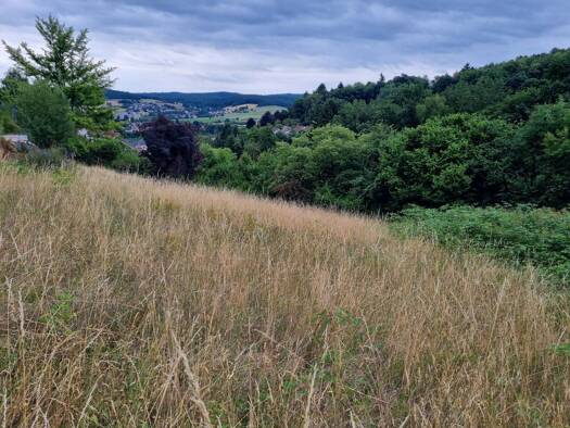 Grundstück zum Kauf provisionsfrei 215.000 € 990 m² Grundstück Erbach 64711