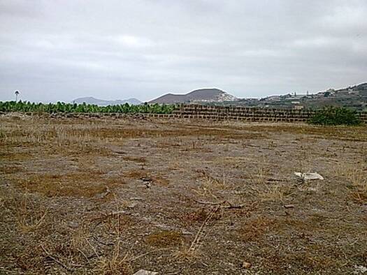 Grundstück zum Kauf 70.000 € 2.000 m² Grundstück Arucas 35413