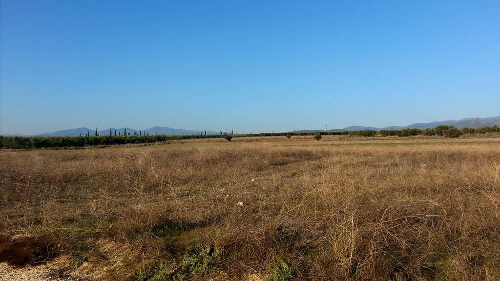 Land-/Forstwirtschaft zum Kauf 650.000 € 16.600 m² Grundstück Chalkidiki