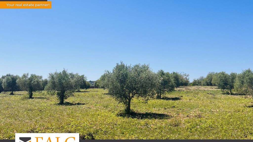 Grundstück zum Kauf provisionsfrei 220.000 € 15.938 m² Grundstück Manacor 07500