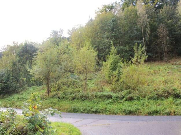 Grundstück zum Kauf 22.500 € 2.687 m² Grundstück Olbernhau 09526