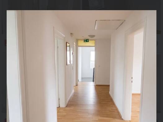 Wohnung zur Miete 900 € 4 Zimmer 110 m² frei ab sofort Altenburger Straße 14 Alsfeld Alsfeld 36304