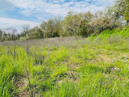 Grundstück zum Kauf 239.000 € 818 m² Grundstück Hedwigstraße Kitzingen 97318