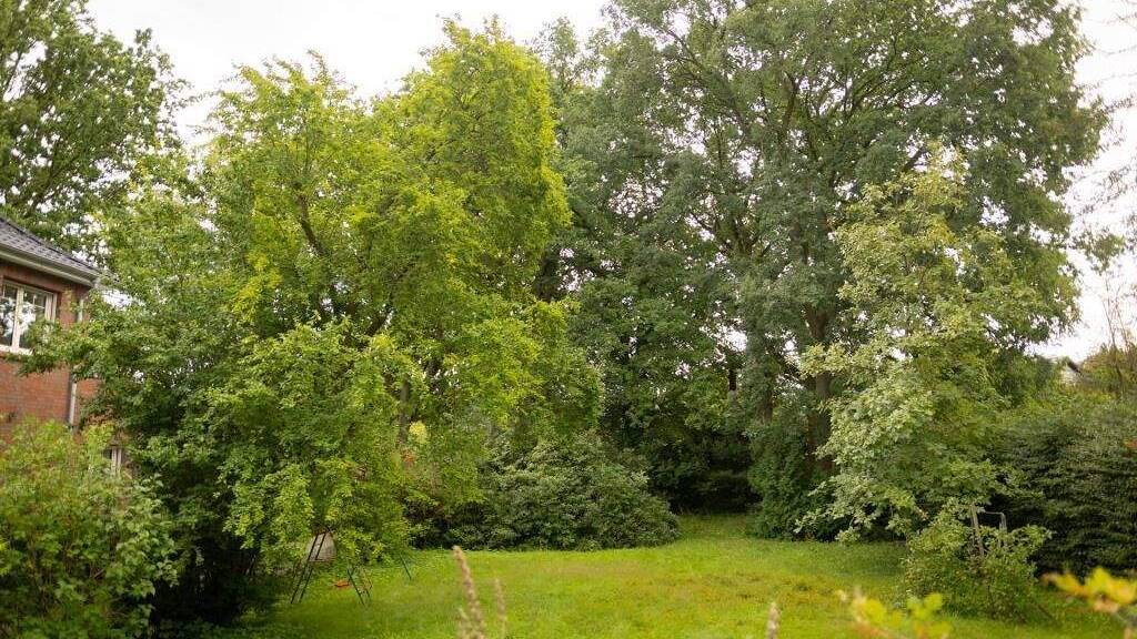 Grundstück zum Kauf 355.000 € 765 m² Grundstück Großhansdorf 22927