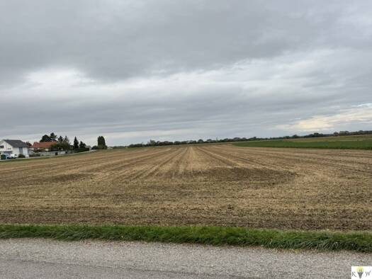 Land-/Forstwirtschaft zum Kauf 13.512 m² Grundstück Sommerein 2453