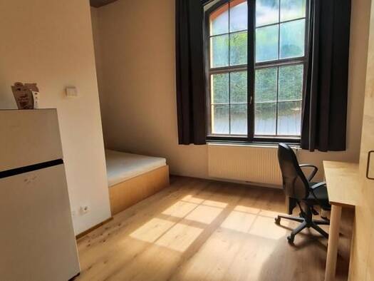Wohnung zur Miete 611 € 1 Zimmer 21,4 m² 1. Geschoss Blumauergasse 26 Steyr Steyr 4400