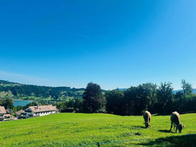 Wohnung zum Kauf provisionsfrei 253.000 € 2 Zimmer 45,4 m² 2. Geschoss frei ab sofort Gschwender-Horn-Weg Bühl Immenstadt im Allgäu 87509