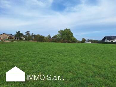 Grundstück zum Kauf 57.000 € 1.101 m² Grundstück Altscheid Altscheid 54636
