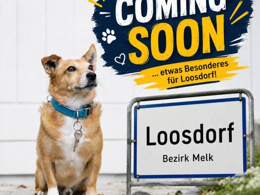 Haus zum Kauf 330.000 € 3 Zimmer 100,7 m² 597 m² Grundstück Loosdorf 3382