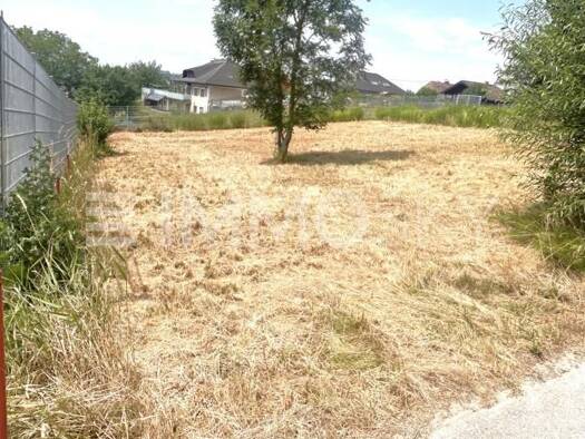 Grundstück zum Kauf 145.000 € 584 m² Grundstück Schwertberg 4311