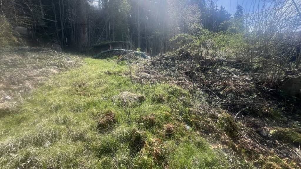 Grundstück zum Kauf 600.000 € 795 m² Grundstück Rohrberg 6280