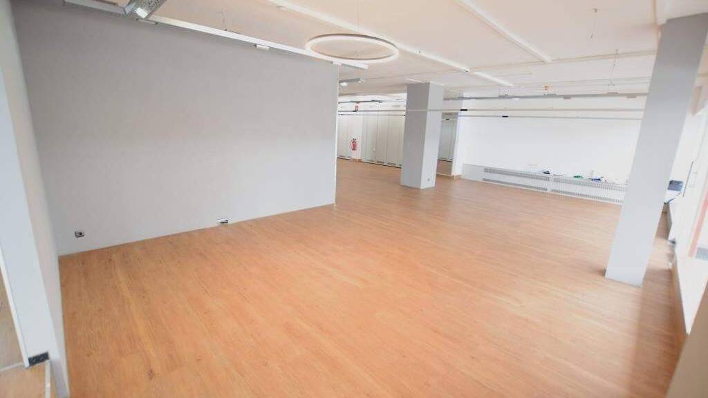 Verkaufsfläche zur Miete 2.950 € 2 Zimmer 310 m² Verkaufsfläche Singen Singen (Hohentwiel) 78224