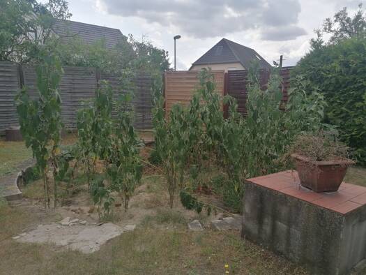 Freizeitgrundstück zur Miete provisionsfrei 250 € 250 m² Grundstück Quittensteig 1 Spandau Berlin 13591