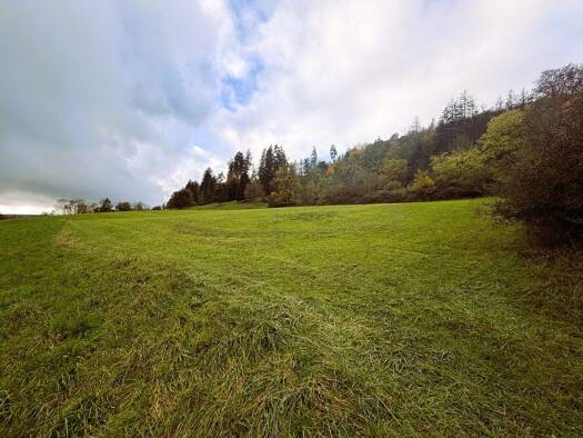 Gewerbegrundstück zum Kauf 14.878 € 2.705 m² Grundstück Oberhochstatt Weißenburg Oberhochstatt 91781