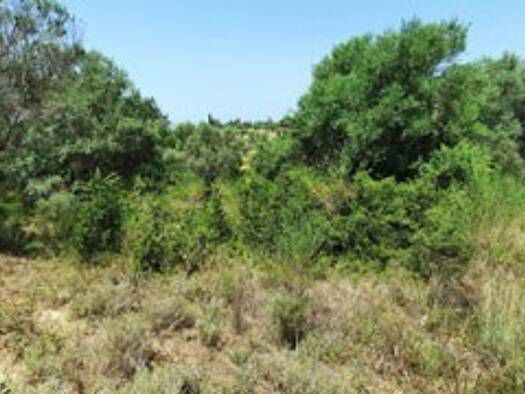 Grundstück zum Kauf 128.000 € 13.185 m² Grundstück Plataria 46100