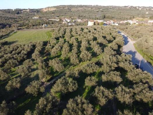 Grundstück zum Kauf 150.000 € 6.193 m² Grundstück Municipality of Chania 73008