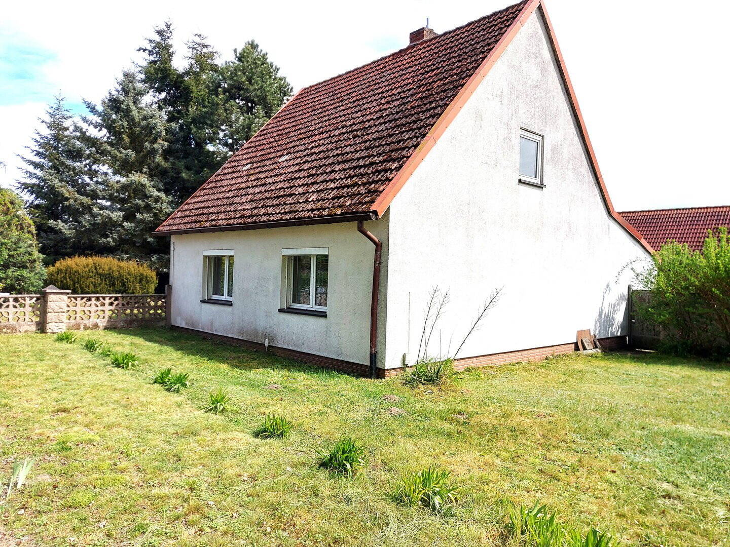 Einfamilienhaus zum Kauf - Ansicht 4