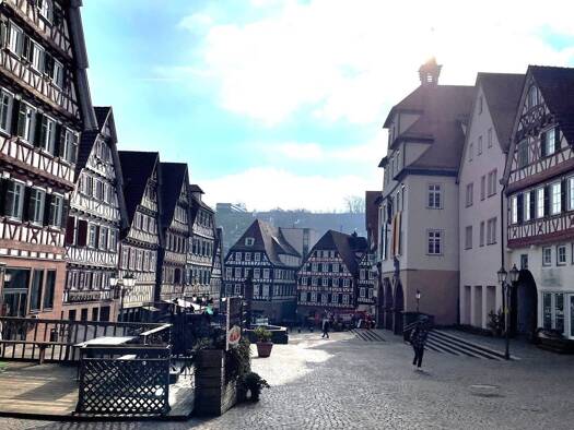 Mehrfamilienhaus zum Kauf als Kapitalanlage geeignet 2.200.000 € 868 m² 709 m² Grundstück Calw 75365