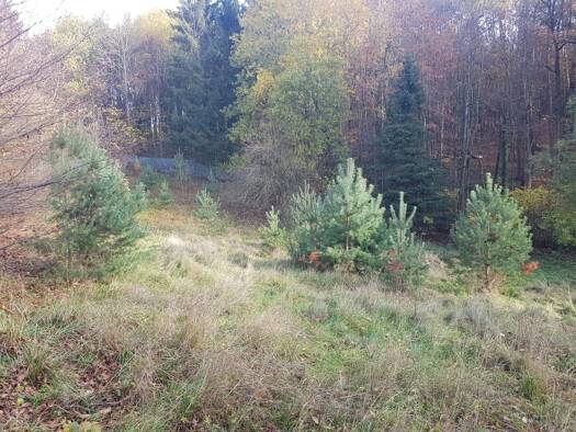 Grundstück zum Kauf 645.000 € 1.476 m² Grundstück Baugenehmigung vorhanden frei ab sofort Heimweg 10 Puschendorf 90617