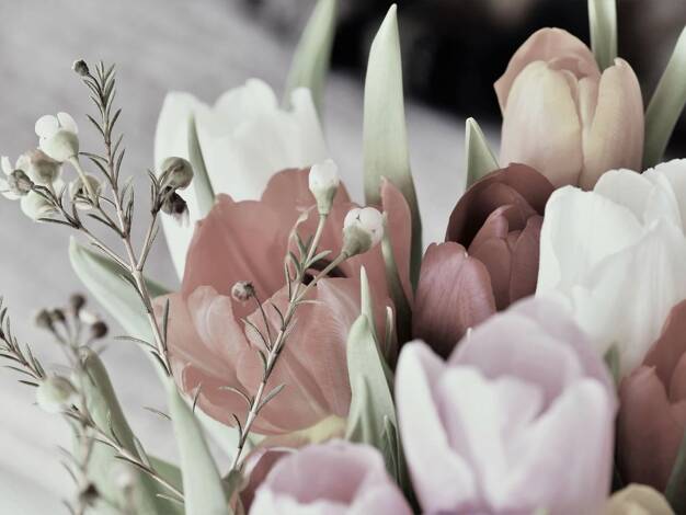 Einfamilienhaus zum Kauf 678.592 € 6 Zimmer 153 m² 484 m² Grundstück Ickern Castrop Rauxel 44577