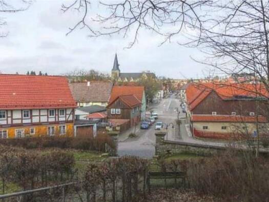 Sonstiges zum Kauf als Kapitalanlage geeignet 378.000 € 14 Zimmer 615 m² 612 m² Grundstück Elbingerode Elbinerode 38875