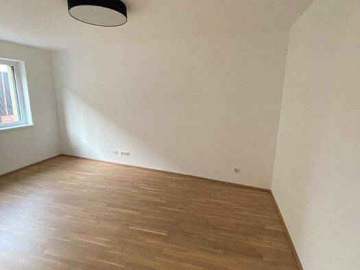 Wohnung zum Kauf 339.000 € 2 Zimmer 60 m² 4. Geschoss Lustenau Linz 4020