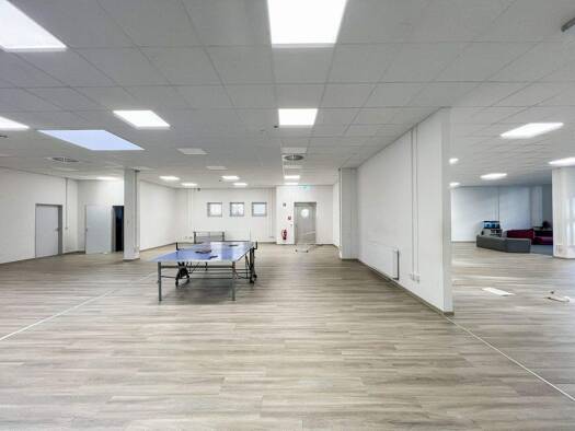 Bürofläche zur Miete provisionsfrei 10,50 € 532 m² Bürofläche Striesen-Ost Dresden 01277