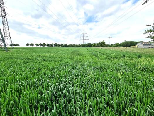 Land-/Forstwirtschaft zum Kauf 349.000 € 10.754 m² Grundstück Bad Homburg vor der Höhe / Ober-Erlenbach 61352