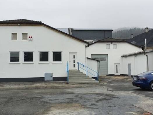 Lagerhalle zur Miete provisionsfrei 1.750 € 700 m² Lagerfläche Köppelsdorf Sonneberg 96515
