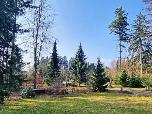 Grundstück zum Kauf 289.000 € 1.039 m² Grundstück Buchholz Buchholz in der Nordheide 21244