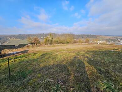 Grundstück zum Kauf 299.000 € 620 m² Grundstück Wellen 54441