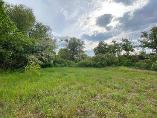 Grundstück zum Kauf 2.522 m² Grundstück Lutherstadt Wittenberg 06886